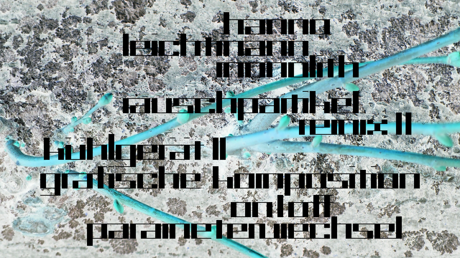 2021-03-10 Hanno Leichtmann - 1996 Monolith (rauschpartikel Remix 1 - 3)